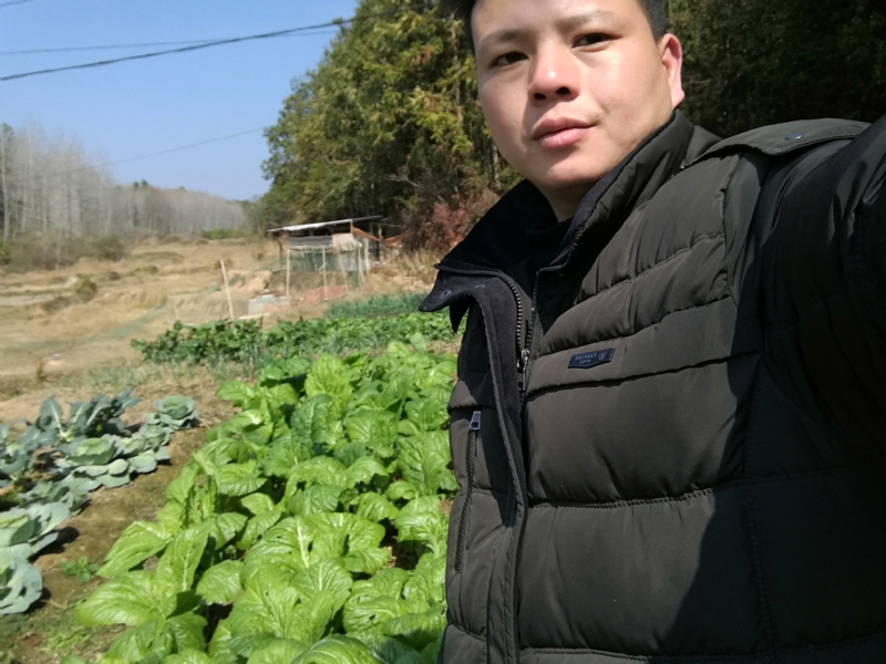 倔强的驴的第一张照片--清流相亲网