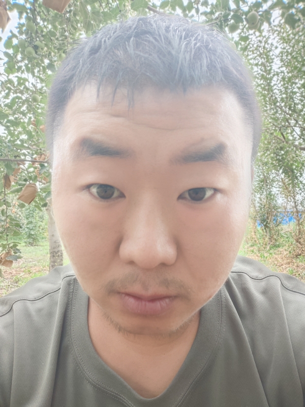 明天的第一张照片--清流相亲网