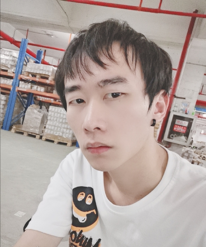 巷子里的猫的第一张照片--清流相亲网