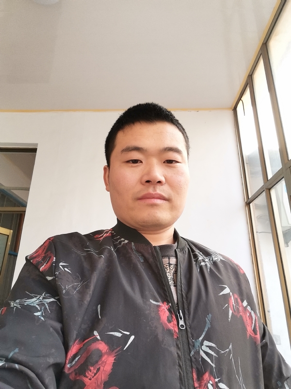 会飞的猪的第一张照片--清流相亲网
