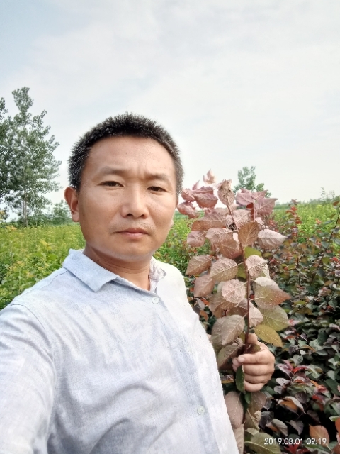 孩子爸的第二张照片--清流相亲网