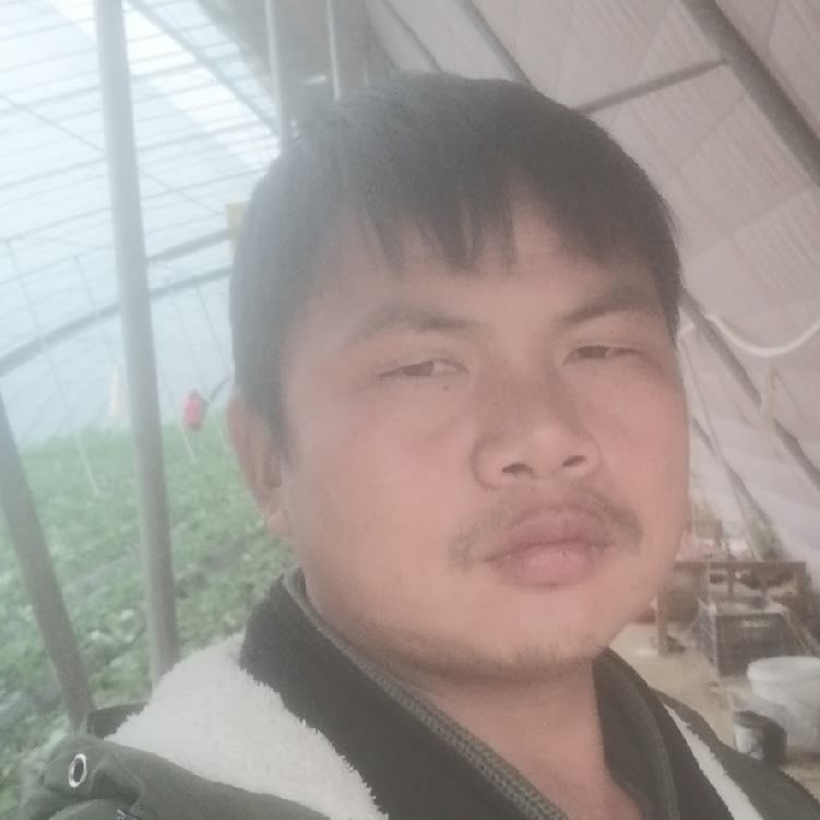 孤狼‘的第一张照片--清流相亲网