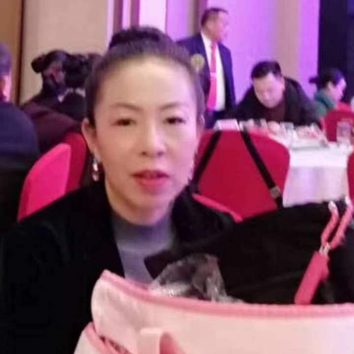 中秋桂花玉兔的第四张照片--清流相亲网