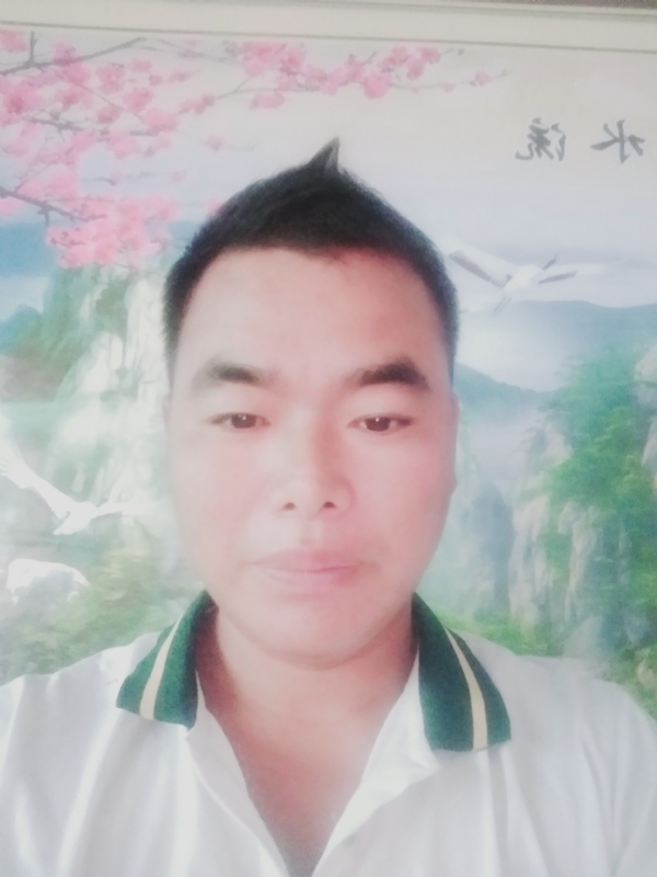 阳光男孩的第二张照片--清流相亲网